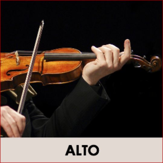 Cours individuel d'alto