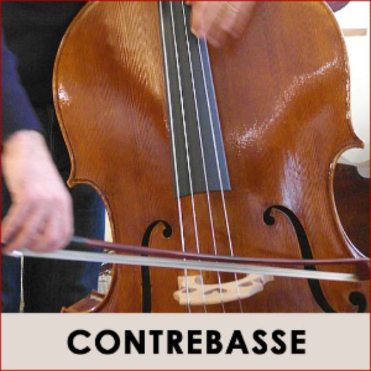 cours de contrebasse à Montpellier